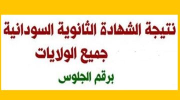 الاستعلام عن نتائج الشهادة السودانية 2025 برقم الجلوس عبر
