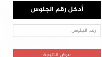 وزارة التربية والتعليم رابط الاستعلام عن نتيجة الصف الخامس.webp