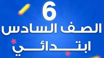 هنا رابط نتيجة الصف السادس الابتدائي الترم الأول 2025.webp