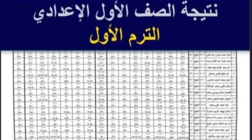 الصف الأول الإعدادي 2025 محافظة الجيزة