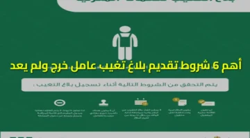 6 شروط تقديم بلاغ تغيب عامل خرج ولم يعد 1
