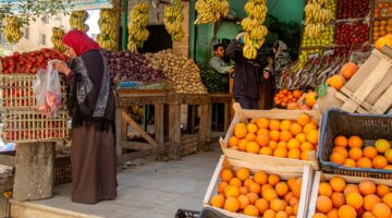 سعر الفواكه اليوم في مصر التفاح والموز ضمن الأكثر