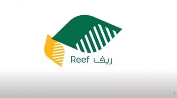 ريف كم يجلس قيد الدراسة 1447. تفاصيل مدة دراسة الطلب وآلية المتابعة