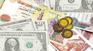 سعر الدولار في صباح تداولات اليوم الإثنين 4820