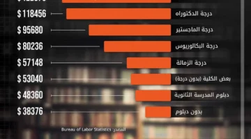 الشهادات المهنية والدكتوراه يتصدرون قائمة الأكثر ربحاً في الولايات.webp