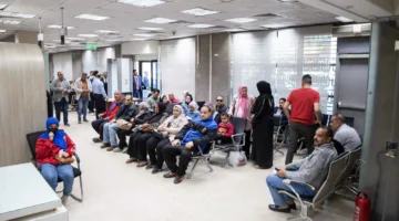 طفيفة في سعر الدولار مقابل الجنيه في البنوك المصرية.webp