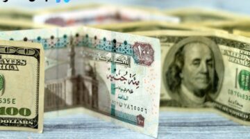 الدولار والريال واليورو اليوم أمام الجنيه المصري الجمعة 19