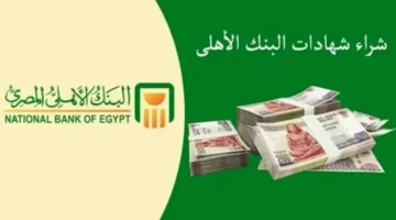 البنك الأهلي المصري 2025 أسعار الفائدة الجديدة وأفضل الاختيارات.webp
