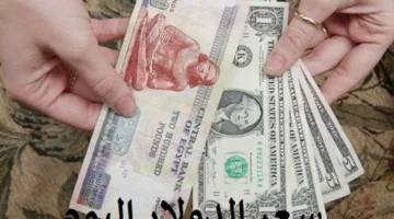 مفاجئ في سعر الدولار أمام الجنيه سعر الدولار الآن.webp