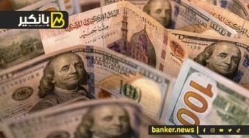 الدولار أمام الجنيه المصري في البنوك بتاريخ 13 أكتوبر