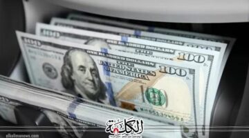 الدولار في مصر تتصاعد اليوم الاثنين اقتصاد وتكنولوجيا