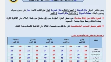 درجات الحرارة نحو المعتدلة خلال الأيام القادمة بدءاً من.webp