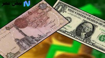 أم مفاجآت؟ أسعار الدولار أمام الجنيه في البنوك المصرية