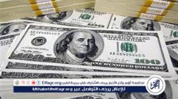 سعر الدولار في البنوك المصرية في ظل تراجع عالمي
