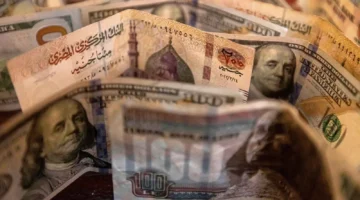 سعر الدولار مقابل الجنيه في الأسواق المصرية اليوم.webp