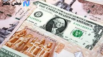 الأجنبية تواصل التذبذب ماذا يحدث في سوق الصرف المصري؟