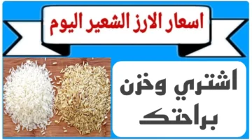 موجة الغلاء سعر طن الأرز الشعير اليوم السبت 4.webp