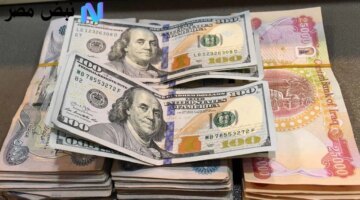 نارية سعر 100 الدولار في العراق اليوم قبل دقائق