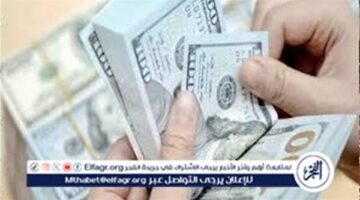 على سعر الدولار اليوم في البنوك المصرية