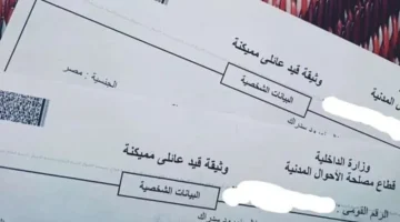 وإجراءات الحصول على القيد العائلي 2025 دليل كامل لك.webp