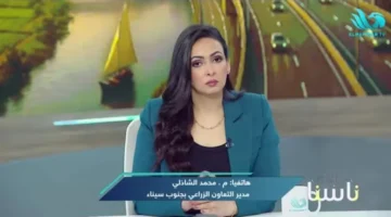 سيناء تُظهر كفاءتها في زراعة الزيتون من خلال مشروع.webp