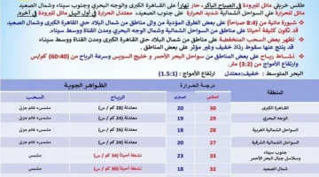 نهاراً وبرودة ليلاً والعظمى في القاهرة 30 درجة.webp
