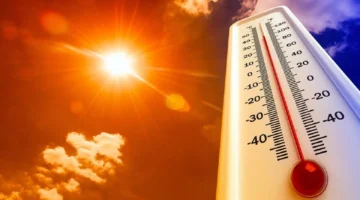 بسيطة في درجات الحرارة وضباب كثيف صباح الإثنين في.webp