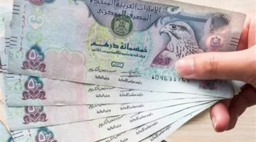 الدرهم الإماراتي مقابل الجنيه المصري بتاريخ الثلاثاء 14 10 2025.webp