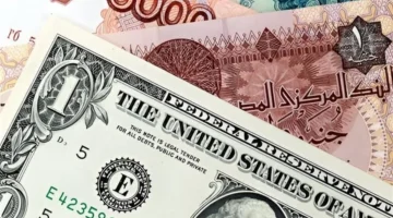 الدولار مقابل الجنيه المصري اليوم الثلاثاء ما هو سعر.webp