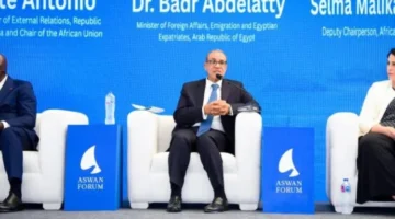 العاطي يشدد على الأهمية الكبيرة لدور مصر في تعزيز.webp