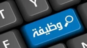 مميزة للبنانيين والمصريين وظائف ذات رواتب مرتفعة في دولة.webp