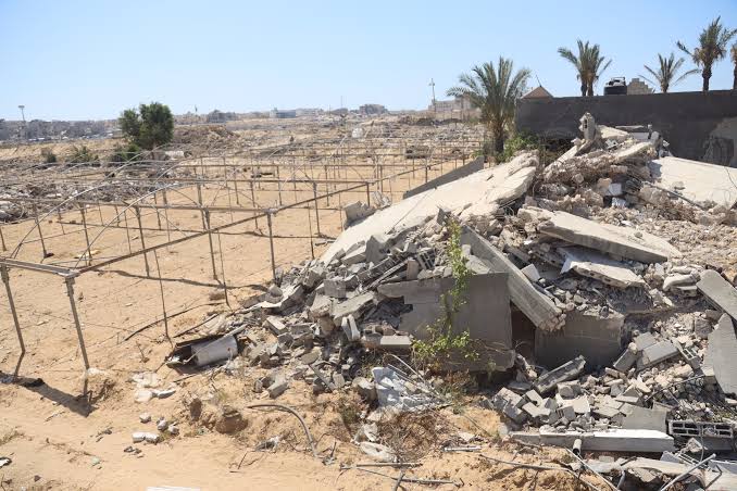 الأراضي الزراعية في غزة إما مدمرة أو غير قابلة