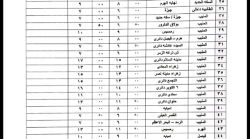 الجيزة تُعلن عن تعريفت خدمات السرفيس ووسائل النقل الجماعي.webp
