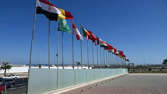 مسؤول مصري يكشف كواليس الاستعدادات لقمة شرم الشيخ حول السلام بغزة