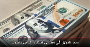 سعر الدولار في مصر.. استقرار شامل بالبنوك