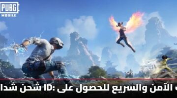 shhn shdat bbjy an tryq id dlylk alaamn walsrya llhswl ala uc fy 2025