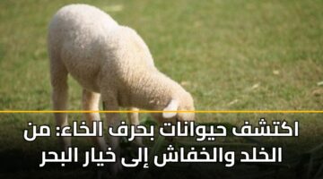 aktshf hywanat bhrf alkhaa mn alkhld walkhfash ila khyar albhr