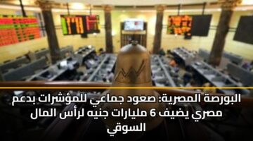 albwrsh almsryh sawd jmaay llmshrat bdam msry ydyf 6 mlyarat jnyh lras almal alswqy