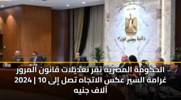 alhkwmh almsryh tqr tadylat qanwn almrwr 2024 ghramh alsyr aks alatjah tsl ila 10 aalaf jnyh