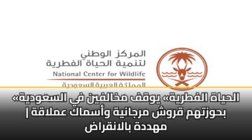 alhyah alftryh ywqf mkhalfyn fy alsawdyh bhwzthm qrwsh mrjanyh wasmak amlaqh mhddh balanqrad