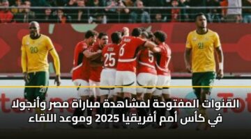 alqnwat almftwhh lmshahdh mbarah msr wanjwla fy kas amm afryqya 2025 wmwad allqaa