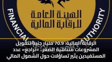 alrqabh almalyh 70.9 mlyar jnyh ltmwyl almshrwaat mtnahyh alsghr. traja add almstfydyn ythyr tsalat hwl alshmwl almaly