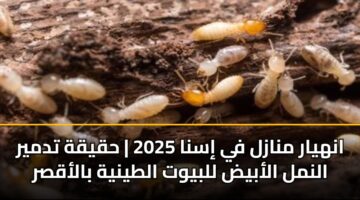 anhyar mnazl fy isna 2025 hqyqh tdmyr alnml alabyd llbywt altynyh balaqsr