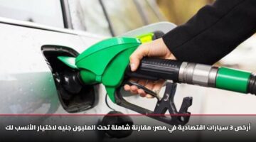 arkhs 3 syarat aqtsadyh fy msr mqarnh shamlh tht almlywn jnyh lakhtyar alansb lk 3