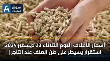 asaar alaalaf alywm althlathaa 23 dysmbr 2024 astqrar ysytr ala tn alalf and altajr