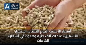 أسعار الأعلاف اليوم الثلاثاء: استقرار «التسمين» عند 20 ألف جنيه وهدوء في أسعار الخامات