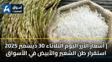asaar alarz alywm althlathaa 30 dysmbr 2025 astqrar tn alshayr walabyd fy alaswaq