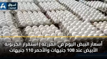asaar albyd alywm fy almzrah astqrar alkrtwnh alabyd and 108 jnyhat walahmr 110 jnyhat