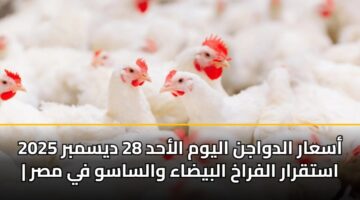 asaar aldwajn alywm alahd 28 dysmbr 2025 astqrar alfrakh albydaa walsasw fy msr 2