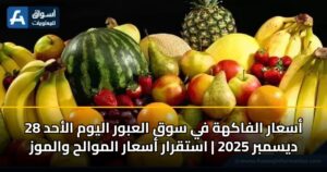 أسعار الفاكهة في سوق العبور اليوم الأحد 28 ديسمبر 2025 | استقرار أسعار الموالح والموز